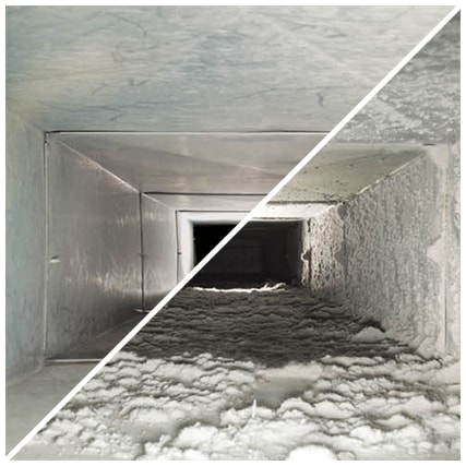 Professional Duct Mold Removal